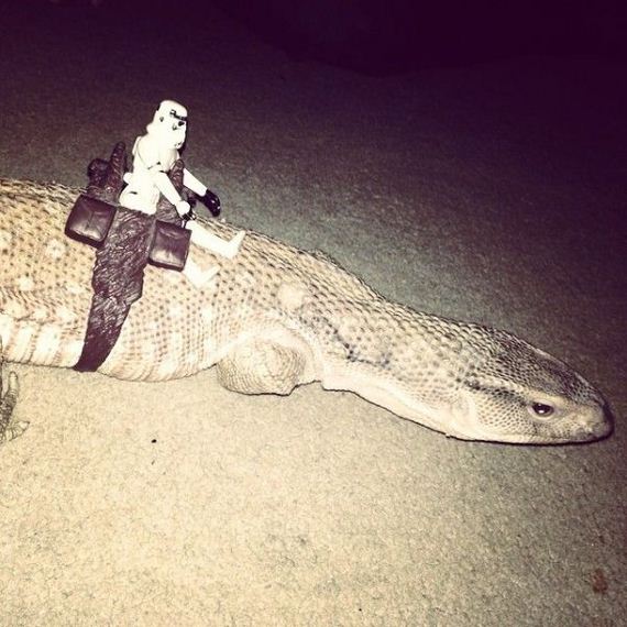 funny-pictures-689