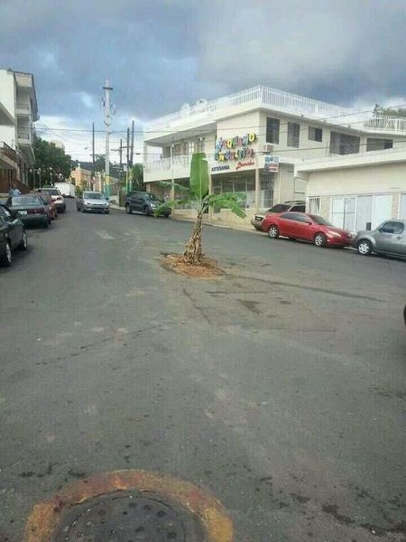 funny-pictures-689