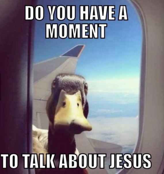 funny-pictures-689