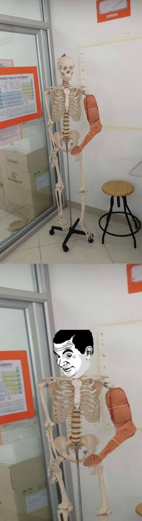 funny-pictures-690