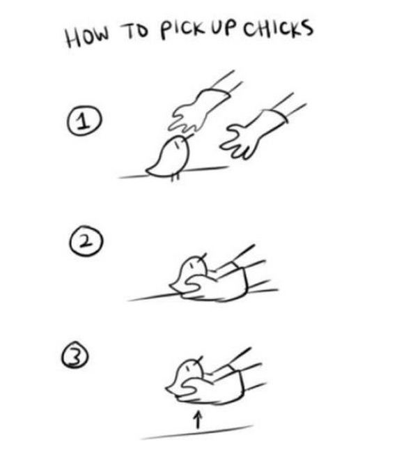 funny-pictures-690