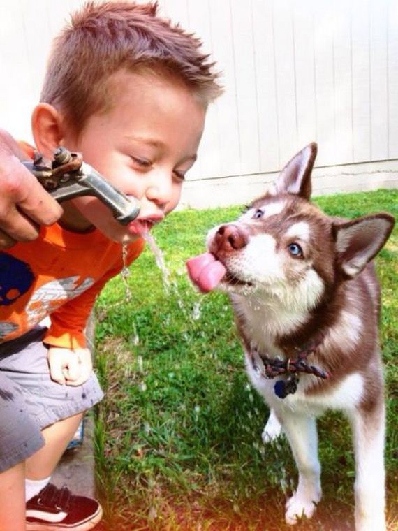 funny-pictures-691