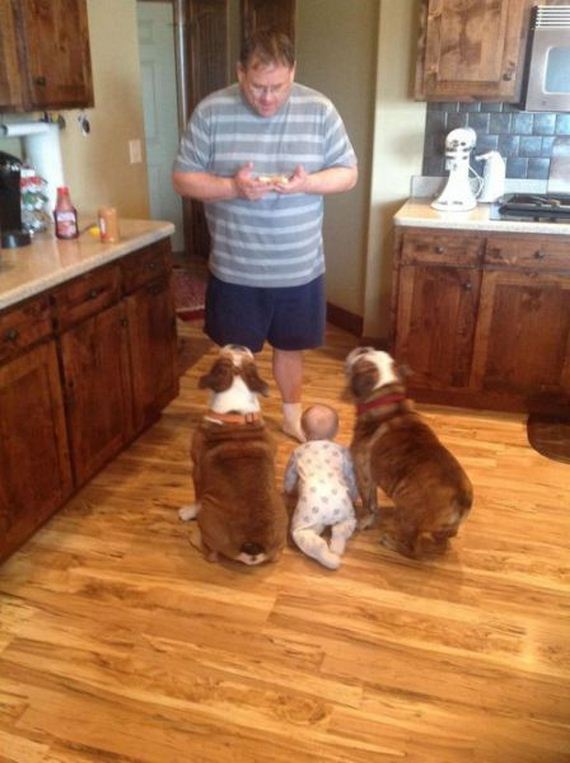 funny-pictures-691
