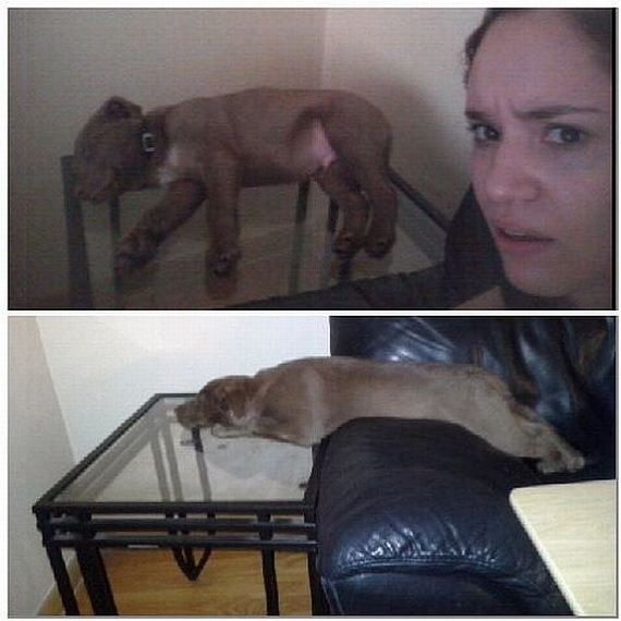 funny-pictures-692