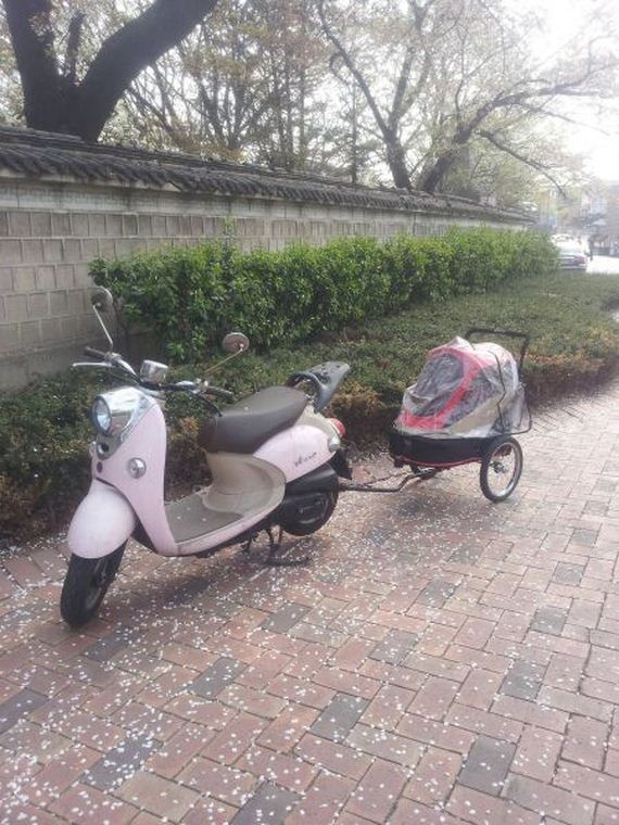 funny-pictures-692