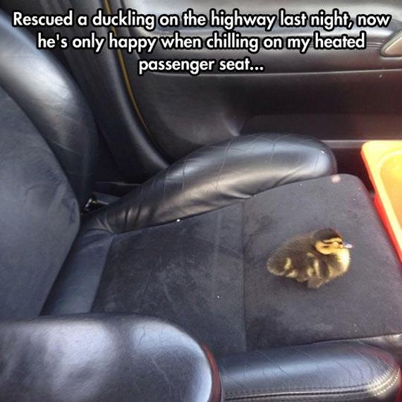 funny-pictures-693