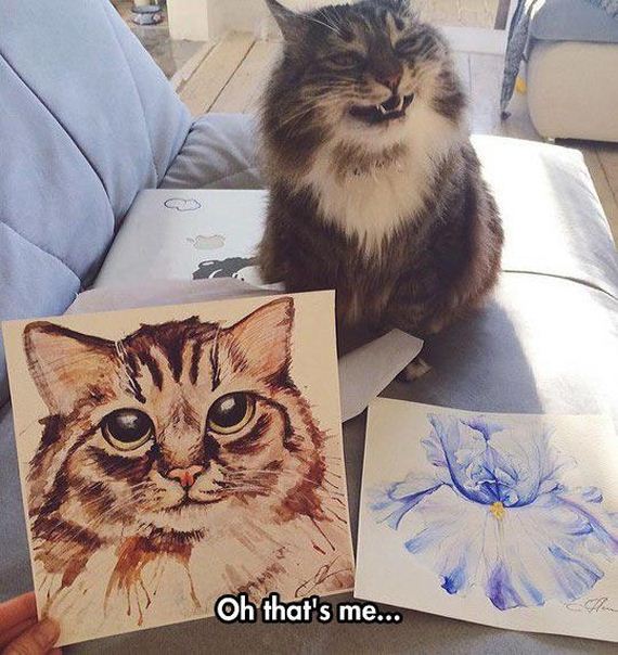 funny-pictures-695