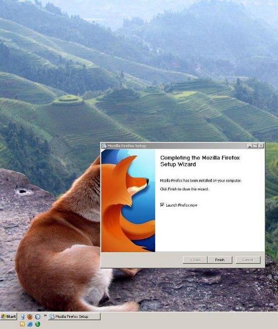 funny-pictures-695