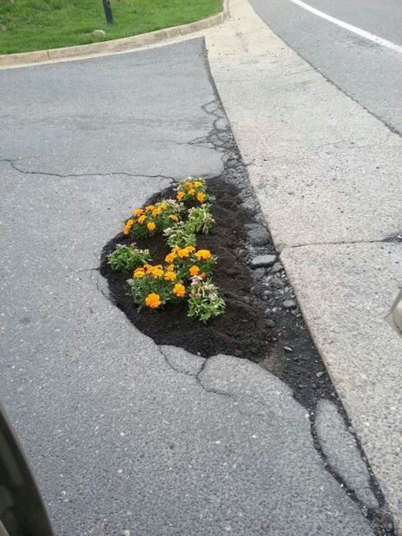funny-pictures-696