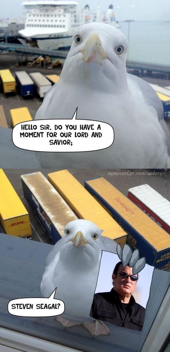 funny-pictures-696