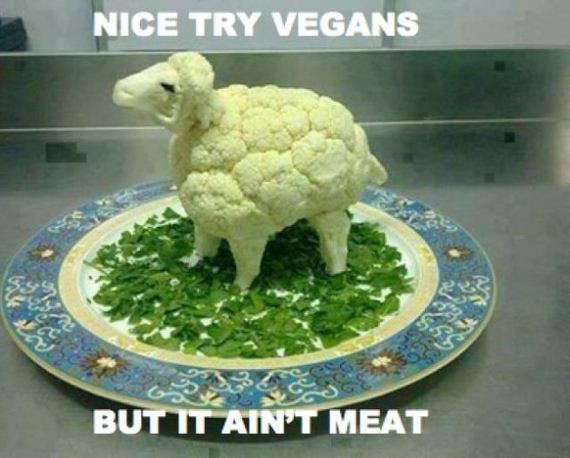 funny-pictures-696