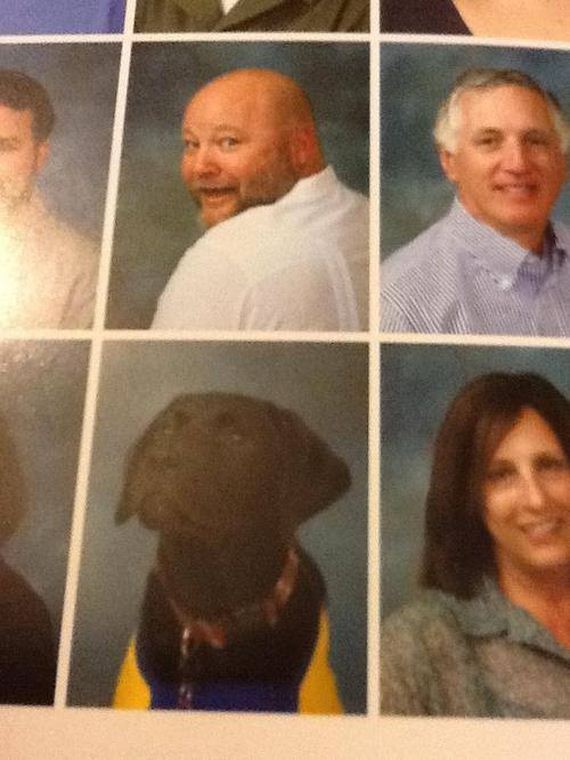 funny-pictures-697