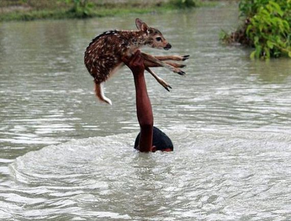 funny-pictures-697