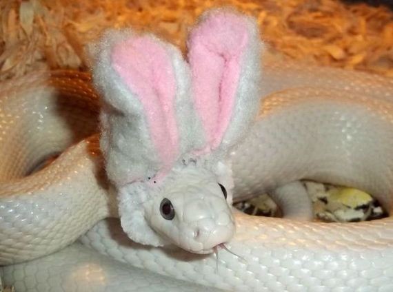funny-pictures-698