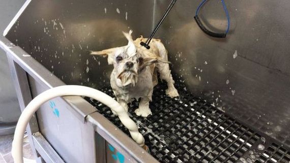 funny-pictures-698