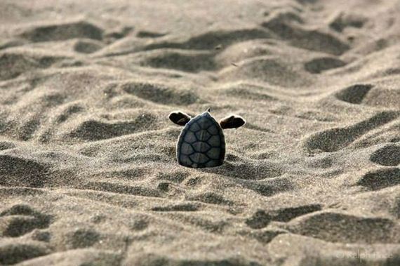 funny-pictures-698