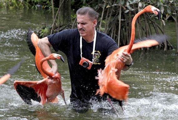 funny-pictures-698