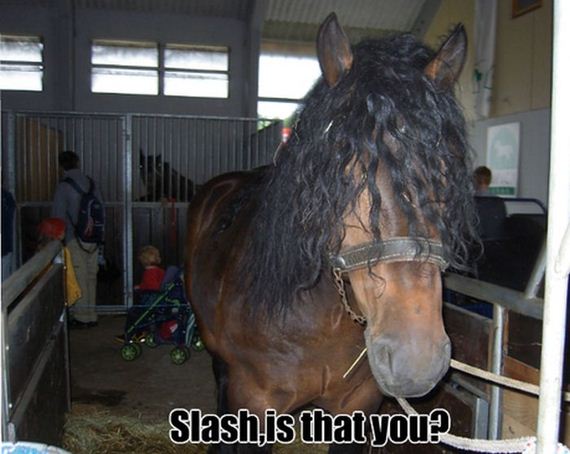 funny-pictures-700