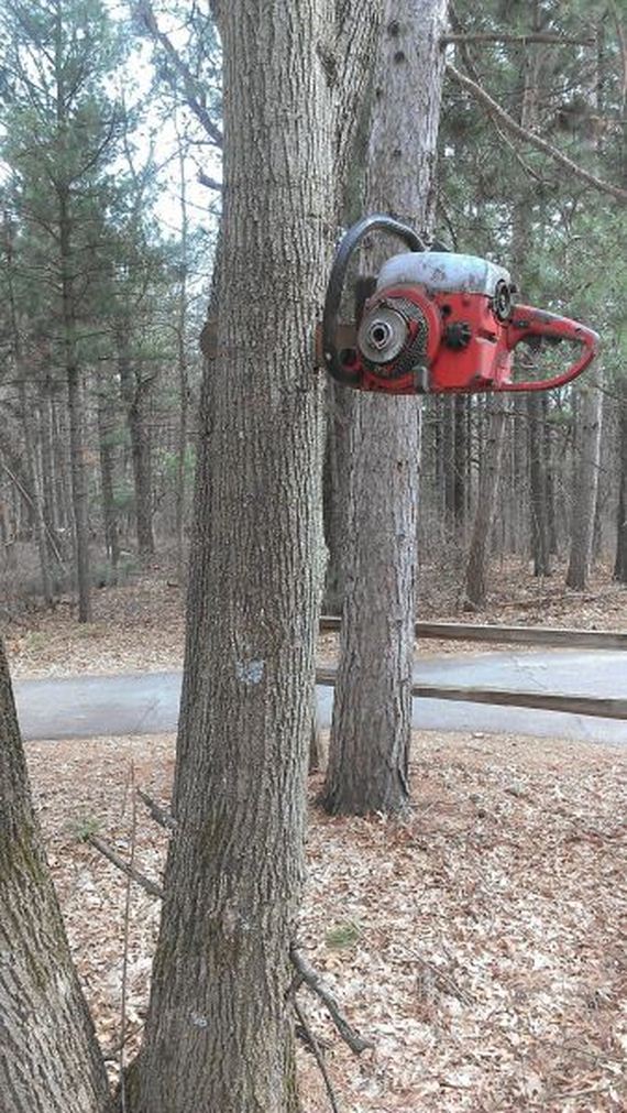 funny-pictures-700