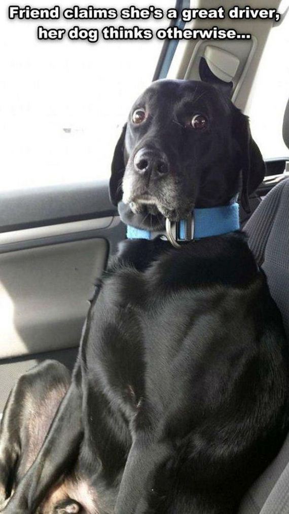 funny-pictures-702