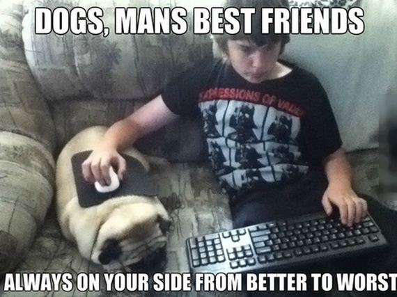 funny-pictures-702