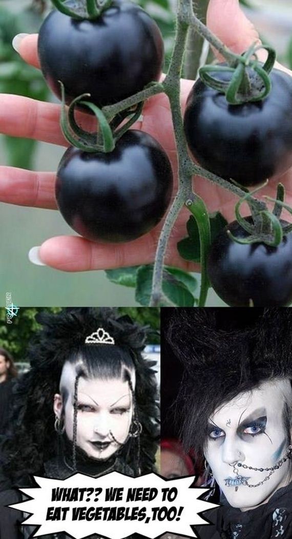 funny-pictures-702