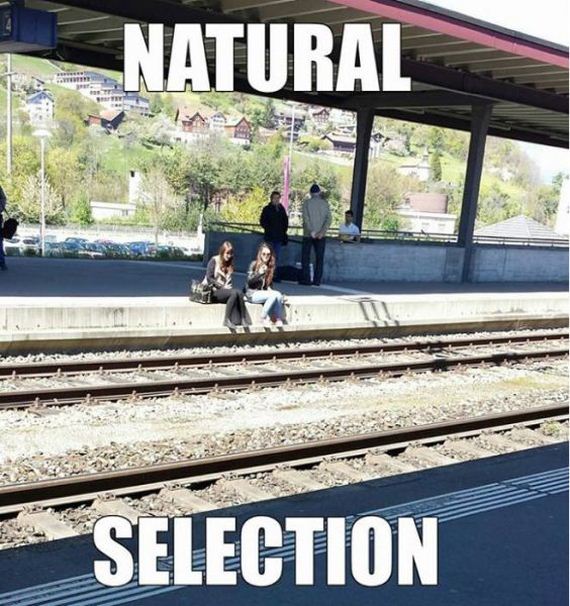 funny-pictures-702