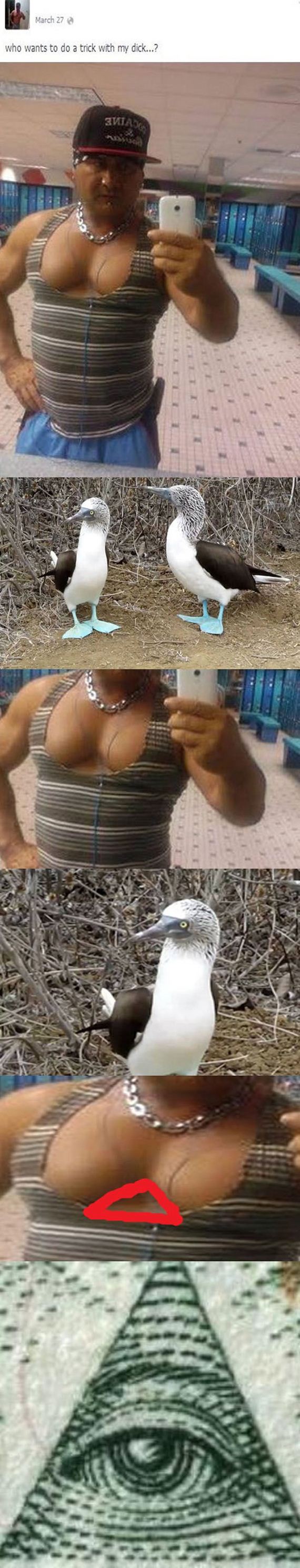 funny-pictures-702
