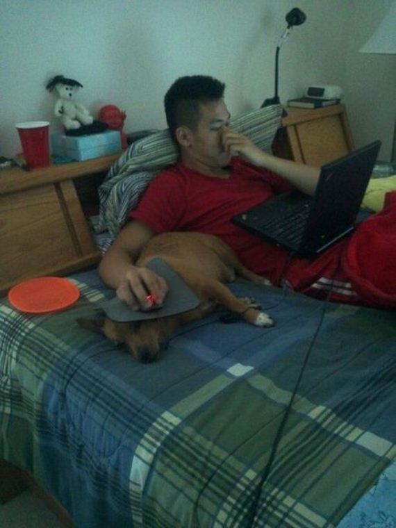 funny-pictures-704