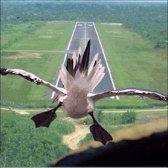 funny-pictures-704