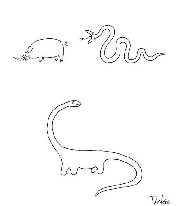 funny-pictures-704