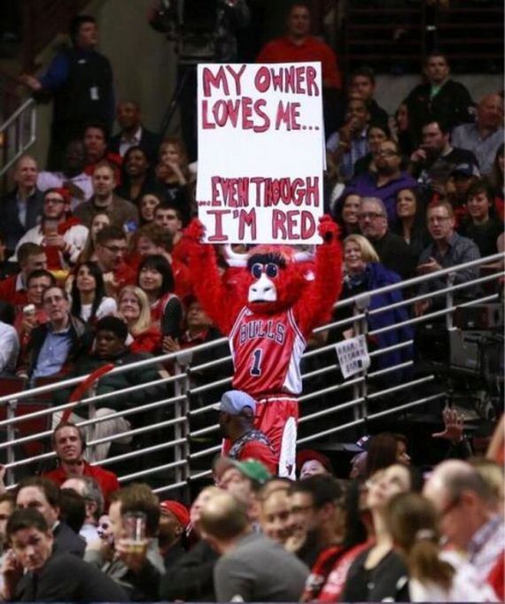 funny-pictures-706