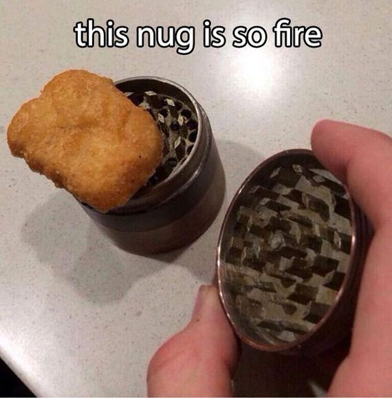funny-pictures-706