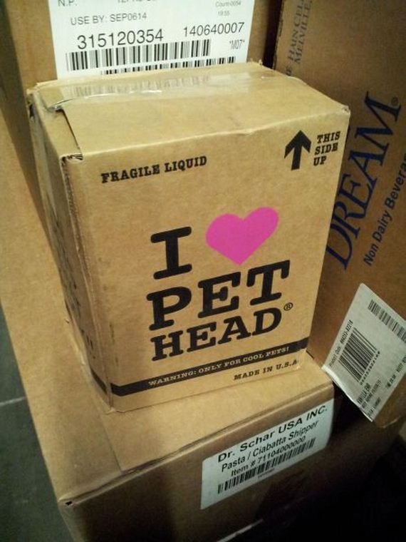 funny-pictures-706