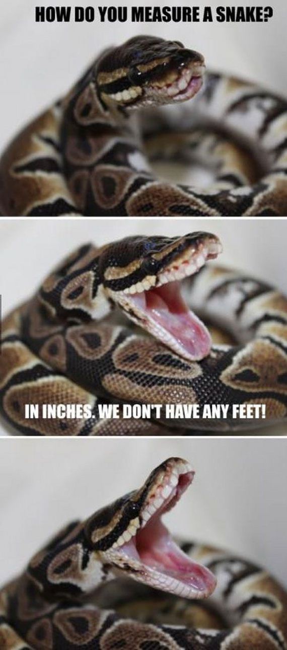 funny-pictures-706