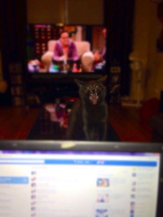 funny-pictures-708