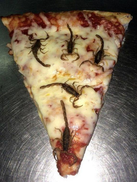 funny-pictures-709