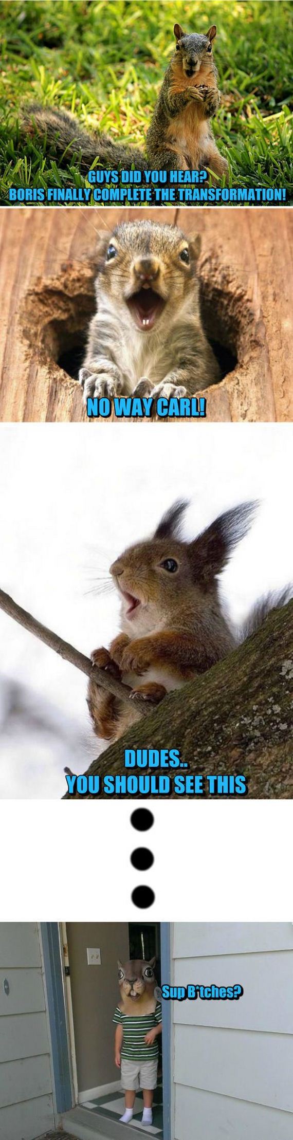 funny-pictures-709