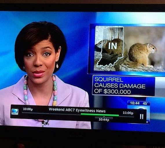funny-pictures-710