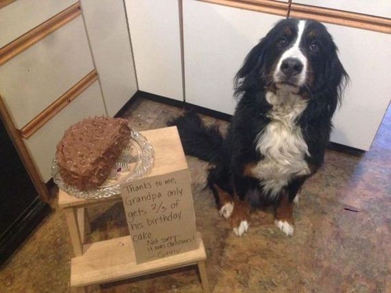 funny-pictures-710