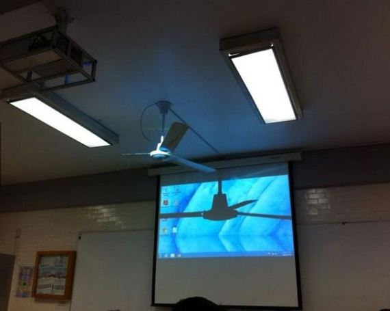 funny-pictures-710