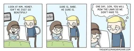 funny-pictures-710