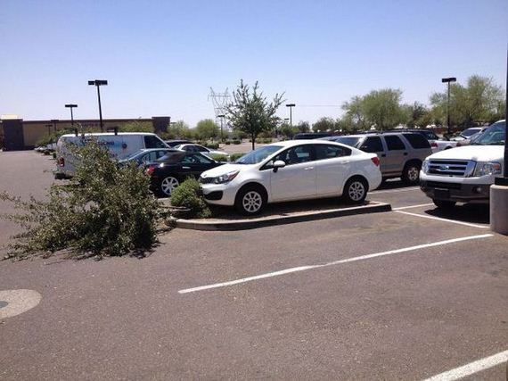 funny-pictures-710