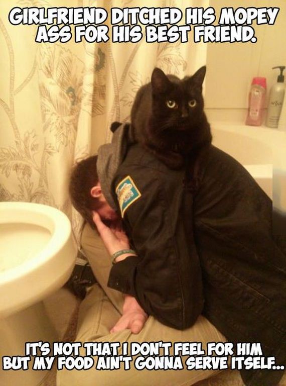 funny-pictures-710