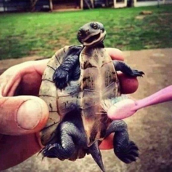 funny-pictures-710