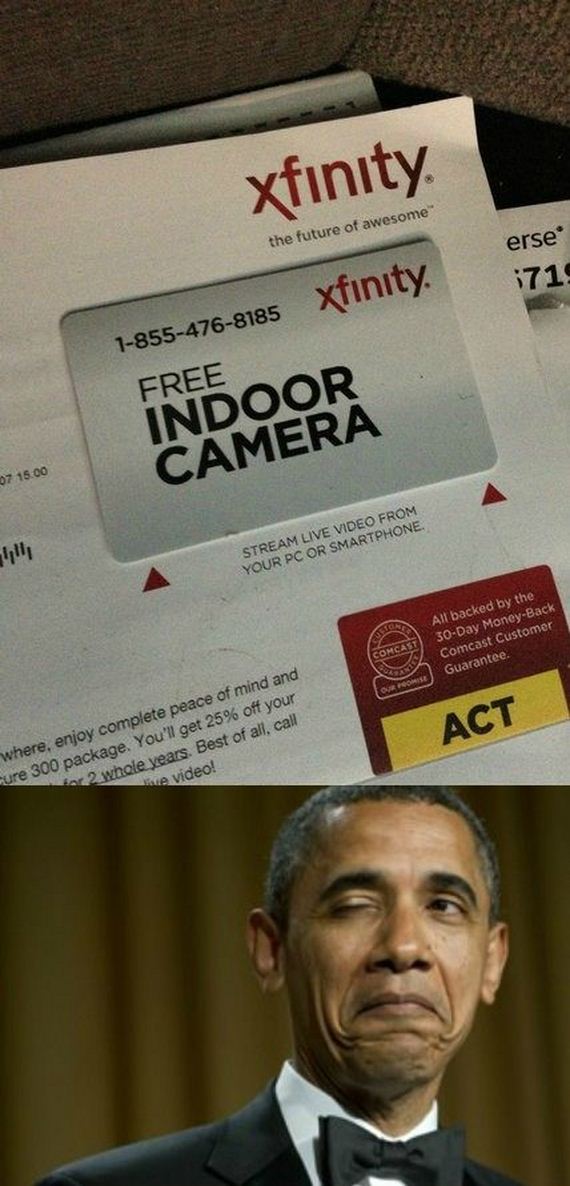 funny-pictures-710