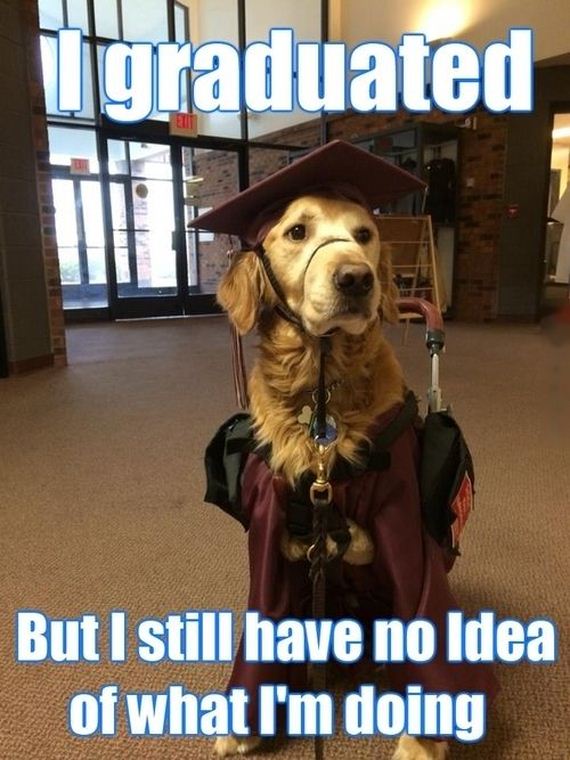 funny-pictures-710