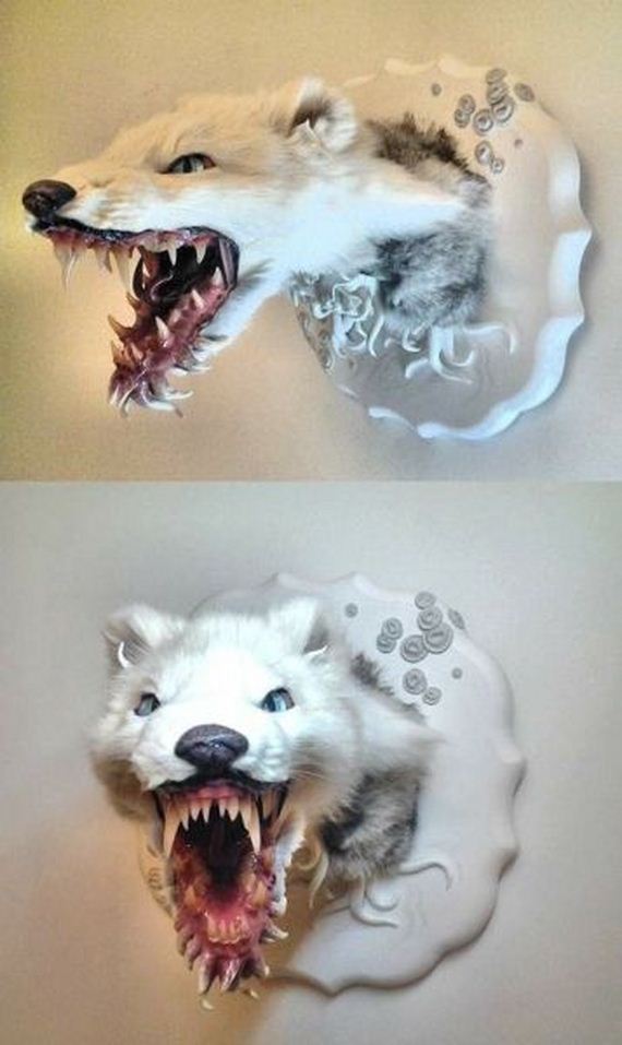 funny-pictures-710
