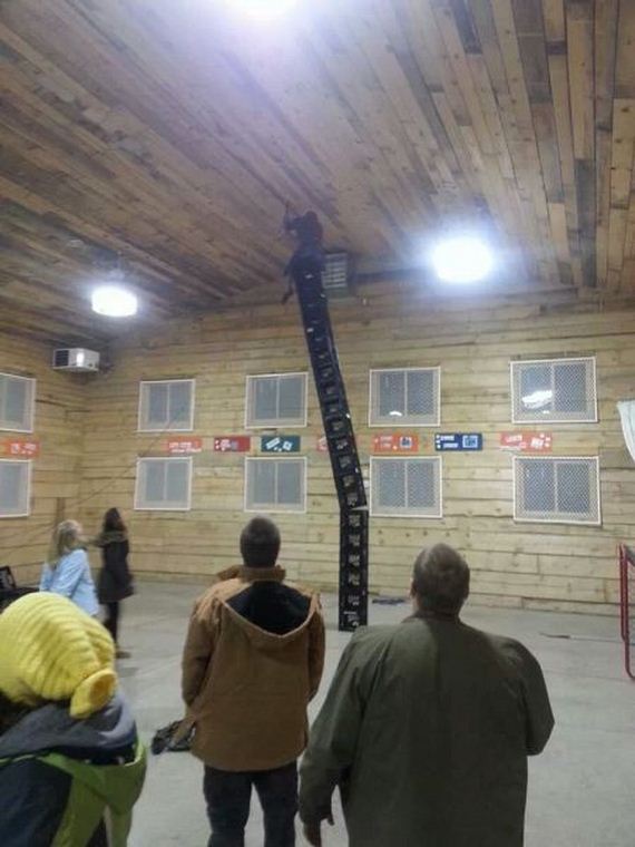 funny-pictures-711