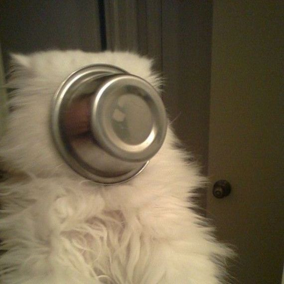 funny-pictures-711